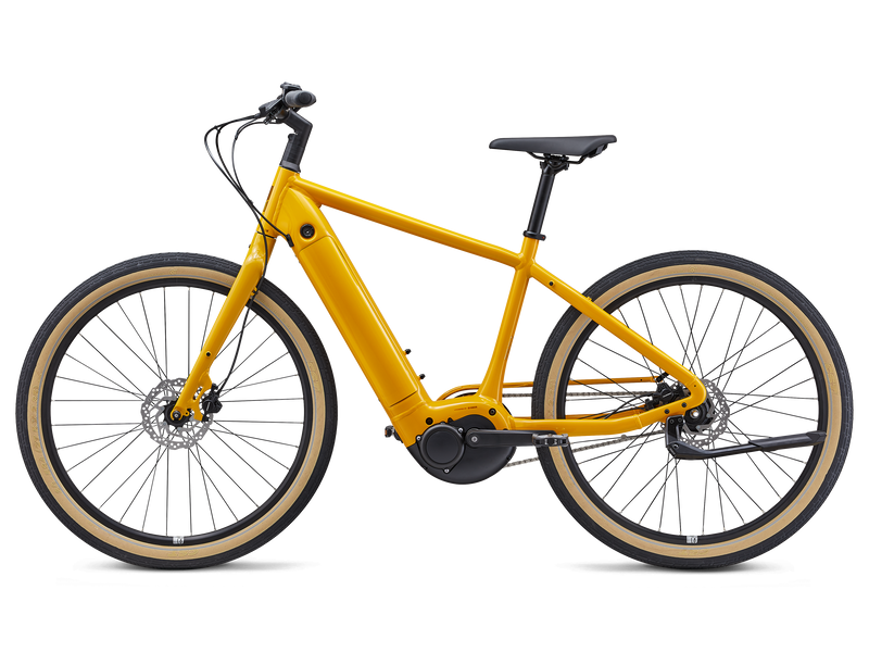 Momentum Transend E+ 2024 Electric Hybrid Bike - Bumblebee-1